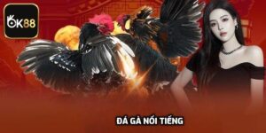 Đá Gà Nổi Tiếng - Những Trận Đấu Kịch Tính Tại OK88