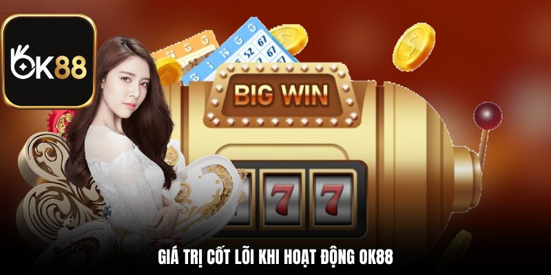 Giá trị cốt lõi khi hoạt động OK88