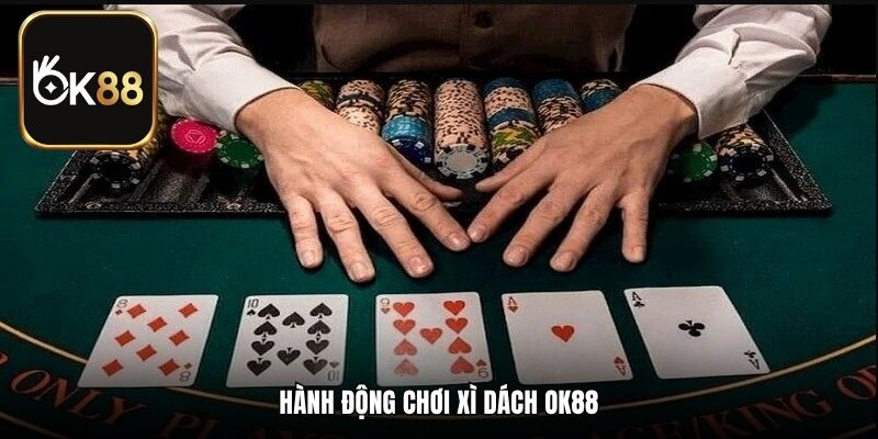 Hành động chơi Xì Dách OK88