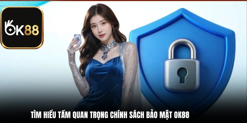 Tìm hiểu tầm quan trọng chính sách bảo mật OK88